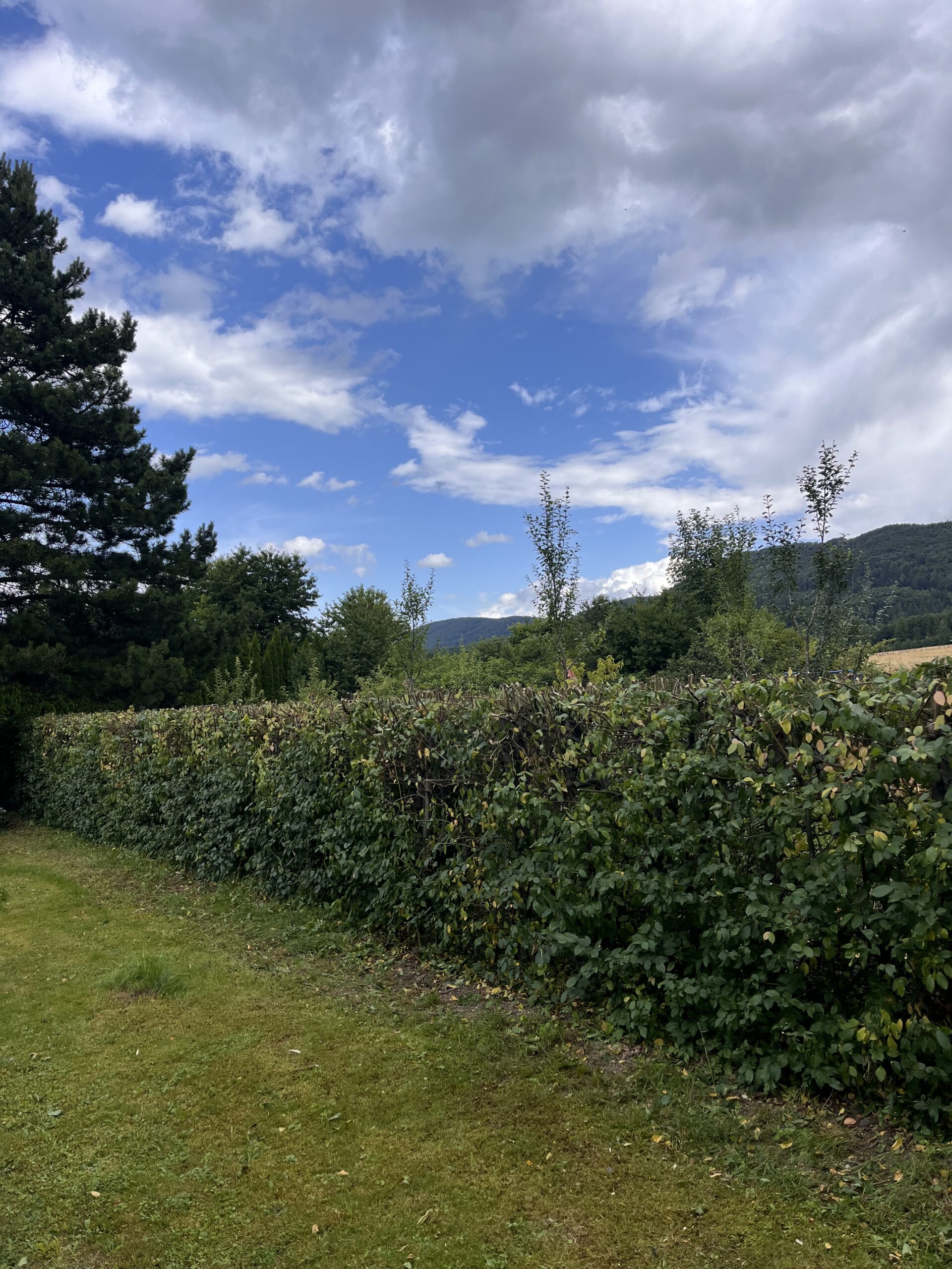 Home img 0890